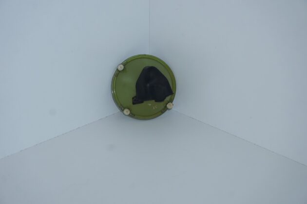 Fari fores 03-218/9 fiat 131 - immagine 4